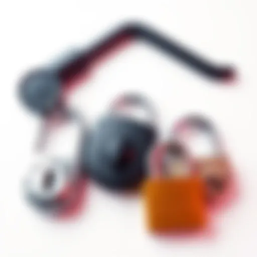 A set of five security locks designed for home protection, displayed on a white background.