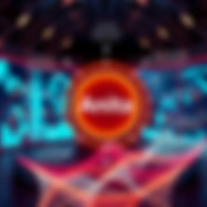 Graphic showing key aspects and goals of the Anita initiative