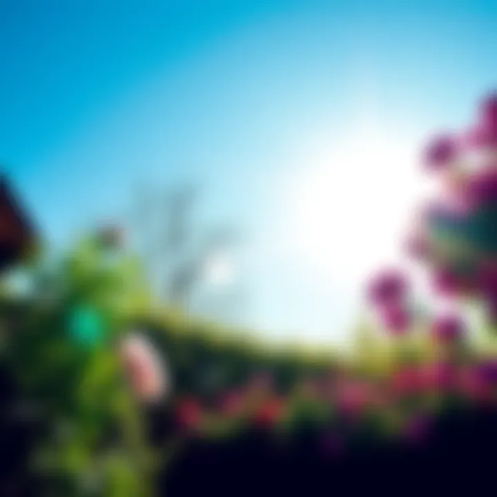 A sunny morning view with a clear blue sky and a blooming garden, symbolizing a fresh start to the day.