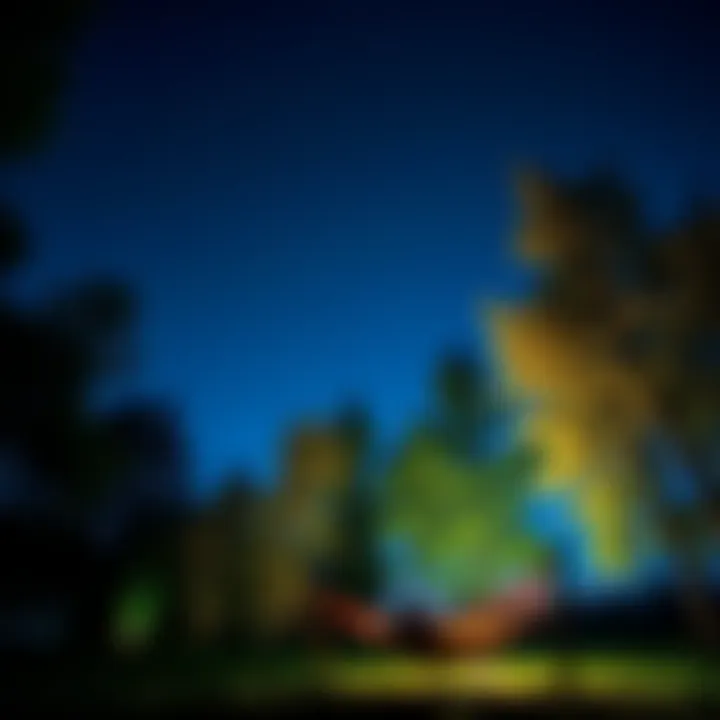 A peaceful night with a starry sky and a person relaxing in a hammock surrounded by trees