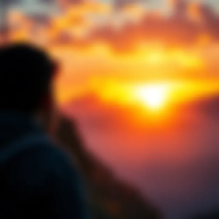 A person looking at a beautiful sunset, symbolizing moments of happiness and success in life.