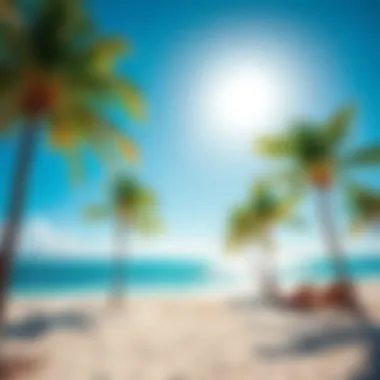 Beach in Florida with palm trees A sunny beach in Florida with palm trees and clear blue skies, representing the choice of living in Florida