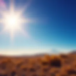 A bright horizon symbolizing new opportunities ahead after recent results
