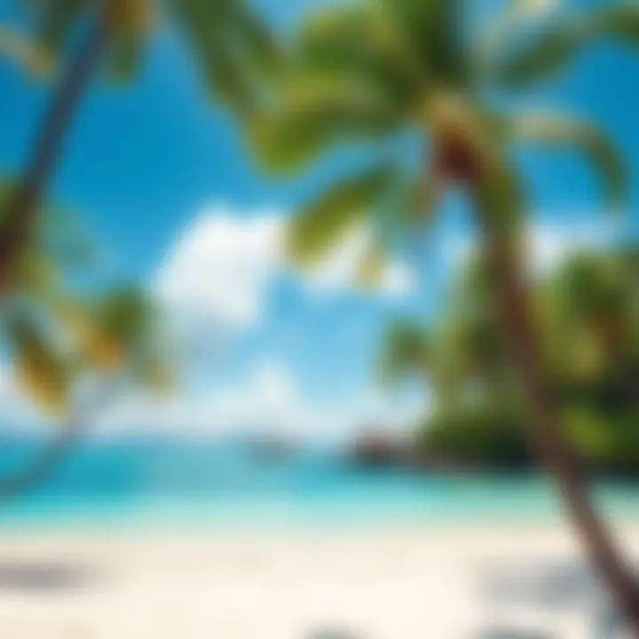 A beach scene with palm trees and a clear blue ocean inviting friends to join for an island trip