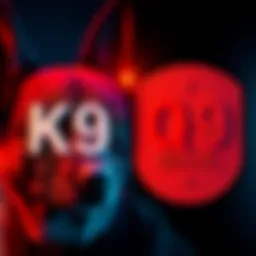 K9 and Q9 labels side by side, showing their differences and significance in usage.