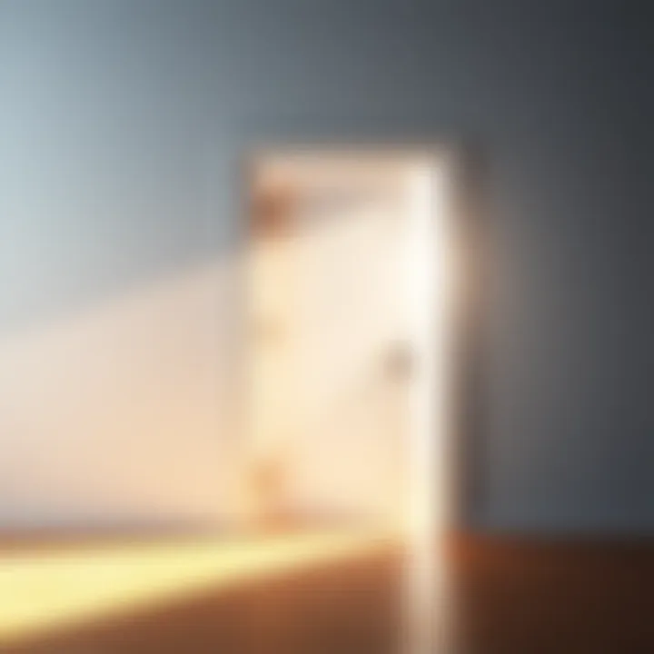 Open door with light shining through A bright open door with light shining through, symbolizing new opportunities and possibilities