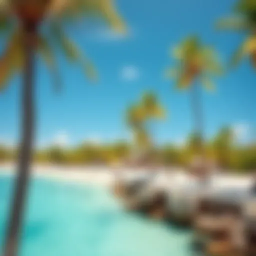 A scenic view of a Puerto Rican beach featuring clear blue water and palm trees.