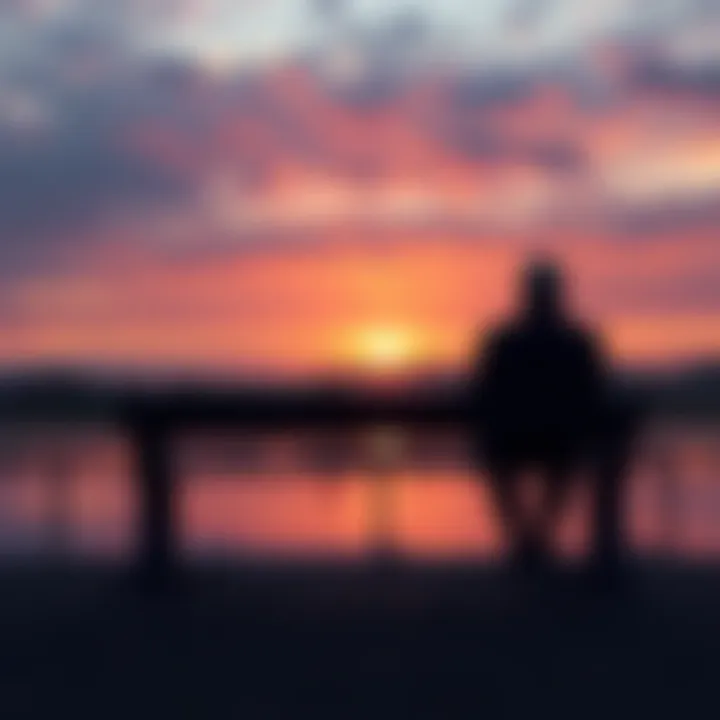 A person sitting alone on a bench, looking at a sunset with a somber expression, symbolizing contemplation of death.