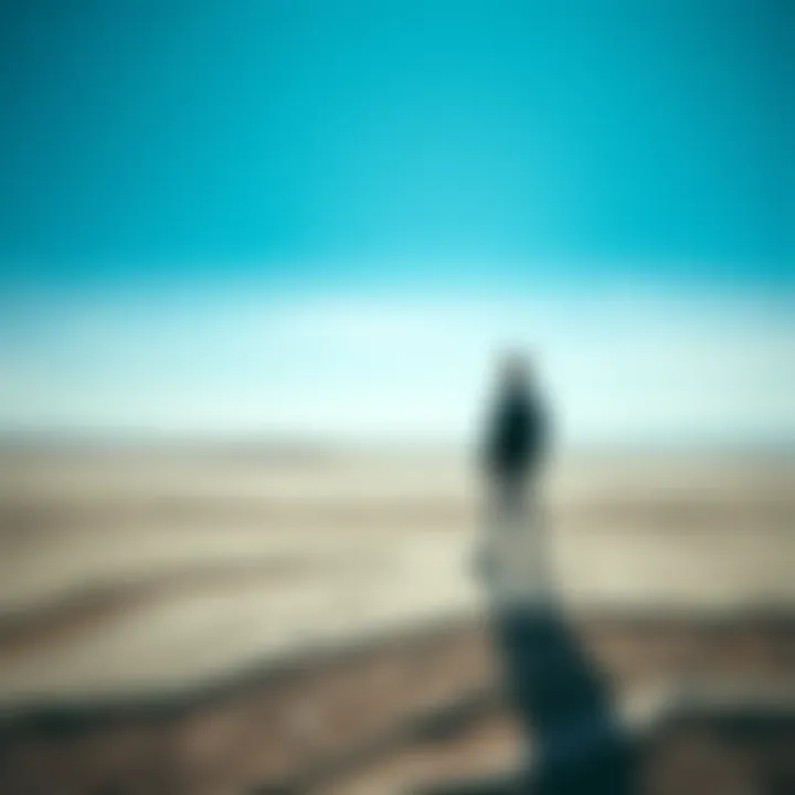 A person stands alone in a vast, empty landscape, contemplating the meaning of existence.