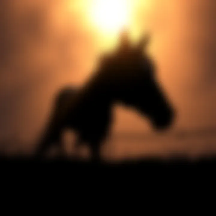 Tribute to Sir Gino A heartfelt tribute with a silhouette of a horse and a sad background, symbolizing the farewell to Sir Gino after his injury.